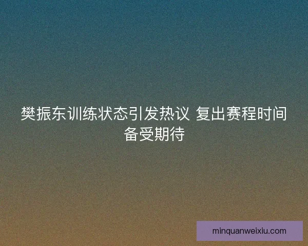 樊振东训练状态引发热议 复出赛程时间备受期待