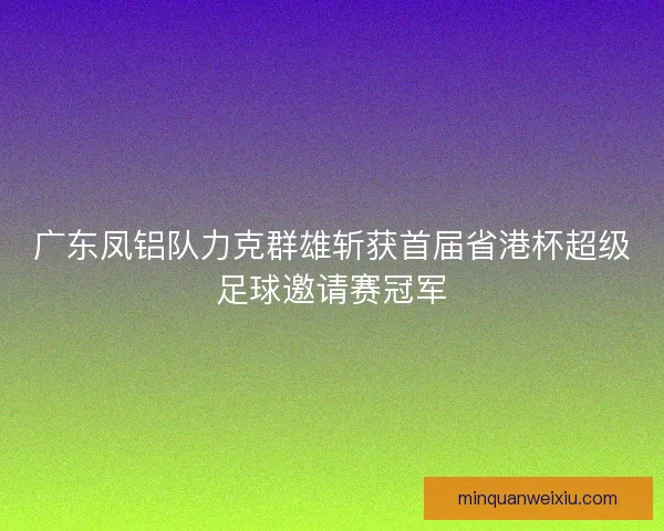 广东凤铝队力克群雄斩获首届省港杯超级足球邀请赛冠军 广东凤铝队力克群雄斩获首届省港杯超级足球邀请赛冠军